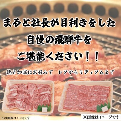 【飛騨牛】焼き肉2種食べ比べセット各400入り　合計800g【配送不可地域：離島】【1731546】