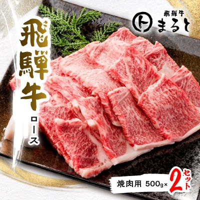 【飛騨牛】ロース(焼肉用)500g×2【配送不可地域：離島】【1553188】