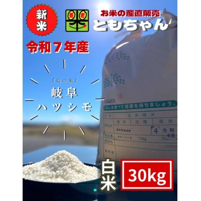 令和7年産　岐阜ハツシモSL　白米　30kg【1690560】