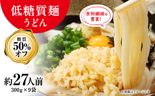 【糖質オフ 50%】低糖質麺 うどん 2700g(約27人前)【1256465】