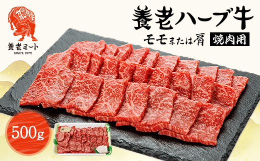 養老ハーブ牛　モモまたは肩　焼肉用　500g【配送不可地域：離島】【1273630】