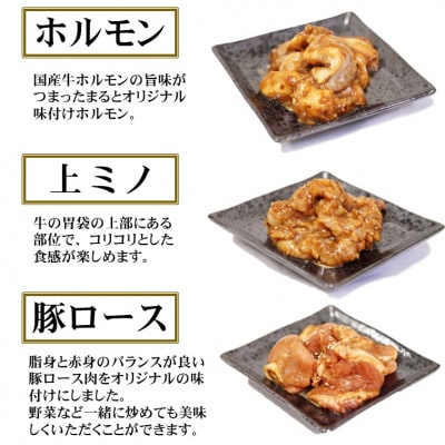 【飛騨牛】焼肉4種B-3セット　赤身肉と味付けホルモンなど　合計1kg【配送不可地域：離島】【1616690】