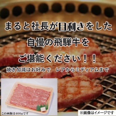 【飛騨牛】赤身焼肉用　500g×2パック　(合計1kg)【配送不可地域：離島】【1731547】