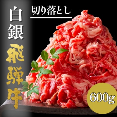 A5等級【白銀】飛騨牛切り落し600g【配送不可地域：離島】【1710341】