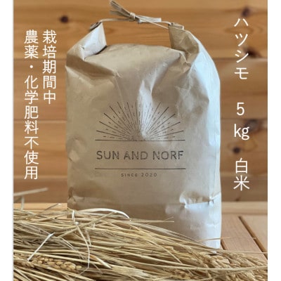 【令和7年産】初霜(源種)　白米5kg　(栽培期間中農薬・化学肥料不使用)【1721451】