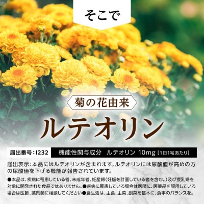繝ォ繝繧ェ繝ェ繝ウ繧オ繝励Μ繝。繝ウ繝 繧ュ繝九す繝翫う繝GOLD蟆ソ驟ク蛟、繧ア繧「 3陲(3繝カ譛亥)縲1632005縲