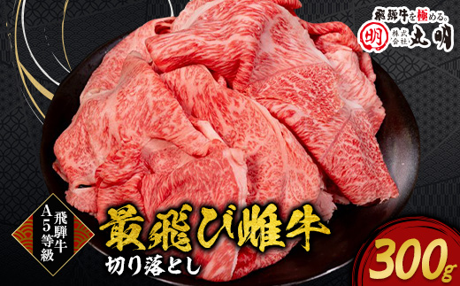 【最飛び雌牛】飛騨牛A5等級切り落とし　300g【配送不可地域：離島】【1520141】