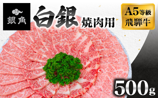 【飛騨牛】白銀焼肉用500g【配送不可地域：離島】【1686848】