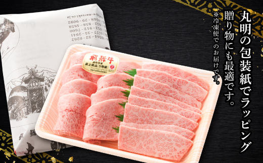 飛騨牛5等級　ミスジ・三角バラ　焼肉用　500g【配送不可地域：離島・北海道・沖縄県】【1043501】