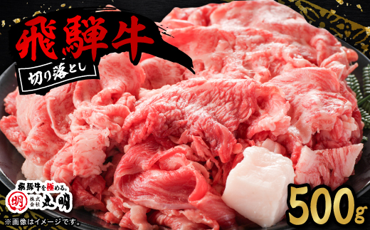 飛騨牛　切り落とし(コマ切れ) 500g【配送不可地域：離島】【1725162】
