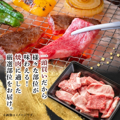 【飛騨牛】切り落し焼肉用【400g/岐阜県産】【配送不可地域：離島】【1107365】