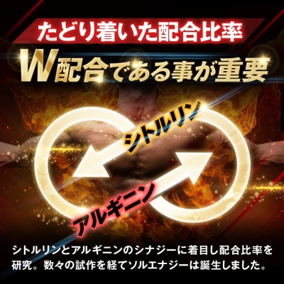 シトルリンサプリメント アルギニン 亜鉛 マカ配合 Mr.GINO ソルエナジー 3袋(3ヶ月分)【1495265】