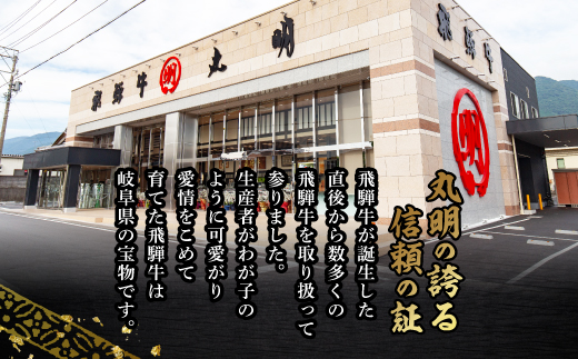 【最飛び雌牛】飛騨牛A5等級サーロインステーキ　250g×4枚【配送不可地域：離島】【1520146】