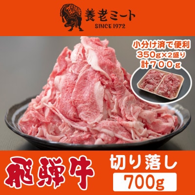 飛騨牛　切り落し　700g(350g×2盛りで小分け済)【配送不可地域：離島】【1503571】