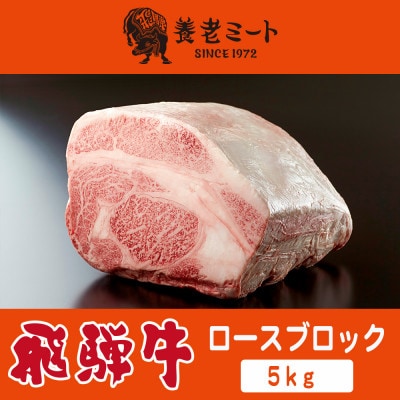 飛騨牛 ロースブロック 5kg【配送不可地域：離島】【1622933】