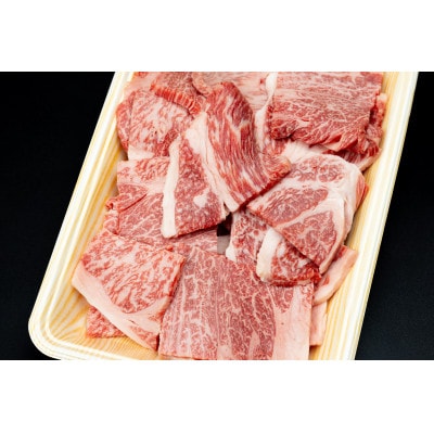 【訳あり】飛騨牛 焼肉　切り落とし 500g【配送不可地域：離島】【1749003】