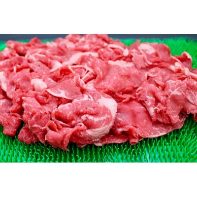 飛騨牛切り落とし計3kg【配送不可地域：離島】【1635765】