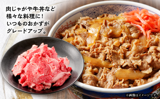 【毎月定期便】飛騨牛　切り落とし250g×2パック　すきやき・しゃぶしゃぶ・牛丼など全6回【配送不可地域：離島】【4085696】