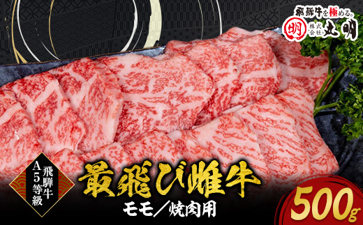 【最飛び雌牛】飛騨牛A5等級モモ焼き肉用　500g【配送不可地域：離島】【1520153】