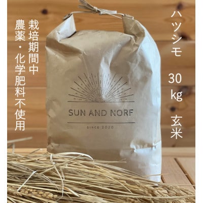 【令和7年産】初霜(源種)　玄米30kg　(栽培期間中農薬・化学肥料不使用)【1721463】