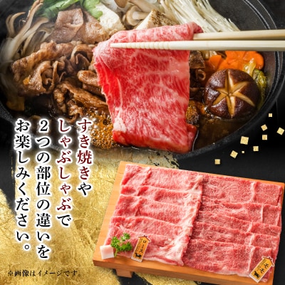 【飛騨牛】ロース、モモスライス詰め合せ250g+250g計500g/岐阜県産【配送不可地域：離島】【1435802】