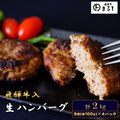 飛騨牛入特製生ハンバーグ　100g×20個【配送不可地域：離島】【1721801】