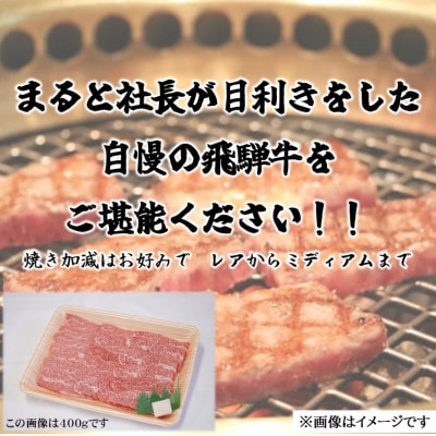 【毎月定期便】飛騨牛　赤身焼肉　400g全6回【配送不可地域：離島】【4088611】
