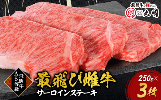 【最飛び雌牛】飛騨牛A5等級サーロインステーキ　250g×3枚【配送不可地域：離島】【1520145】