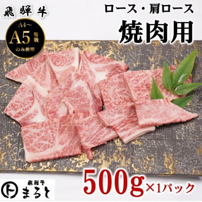【飛騨牛】ロース・肩ロース焼き肉　500g(牛脂付き)【配送不可地域：離島】【1619911】