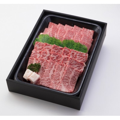 【飛騨牛】肉厚ロースと霜降りカルビの詰め合わせ 焼肉用 計1.6kg 岐阜県産 黒毛和牛【配送不可地域：離島】【1751225】