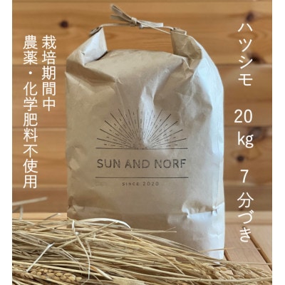 【令和7年産】初霜(源種)　7分づき20kg　(栽培期間中農薬・化学肥料不使用)【1721473】