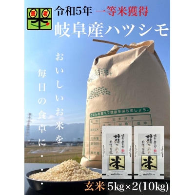 岐阜県養老町産　令和6年産　ハツシモSL　一等米　玄米　5kg×2(10kg)【1499388】