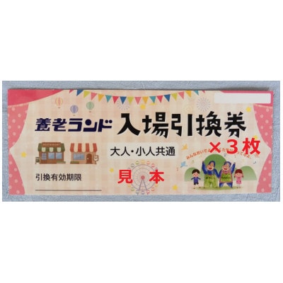 養老ランド 入場券　大人子供共通3枚　乗り物券(2,200円分)セット　養老町　遊園地【1291222】