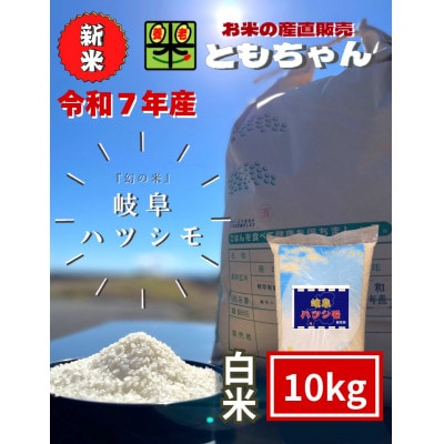 令和7年産　岐阜ハツシモSL　白米　10kg【1690171】