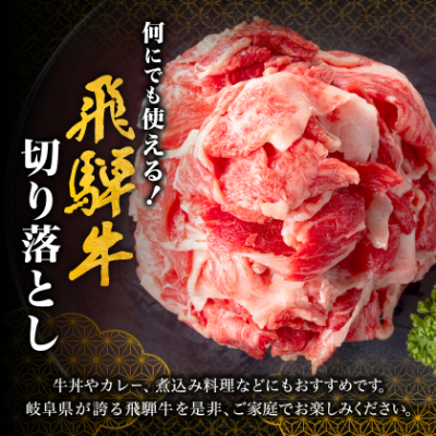 何にでも使える!【飛騨牛】切り落とし800g 岐阜県産 黒毛和牛【配送不可地域：離島】【1046755】