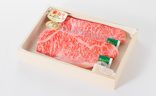 【最飛び雌牛】飛騨牛A5等級サーロインステーキ　250g×2枚【配送不可地域：離島】【1520149】