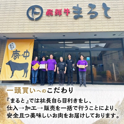 【飛騨牛】焼肉4種セットA-3　ロース・肩ロースと味付けホルモンなど　合計1kg【配送不可地域：離島】【1619896】