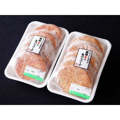 飛騨牛入特製生ハンバーグ　100g×10個【配送不可地域：離島】【1491576】