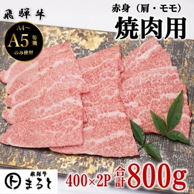 【飛騨牛】赤身焼肉用　400g×2(合計800g)【配送不可地域：離島】【1731548】