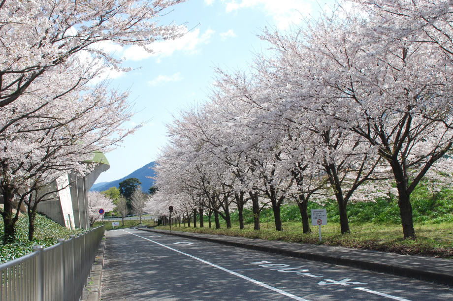 魅力あふれる地域づくり