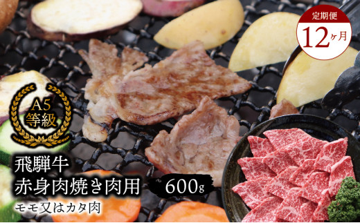 【１２ヶ月定期便】A5等級飛騨牛 赤身肉 焼き肉用 600ｇ モモ又はカタ肉 2025/9/19～