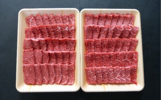 A5ççŽé£éššç 赀身è çŒãèçš 1kg ã¢ã¢åã¯ã«ã¿è