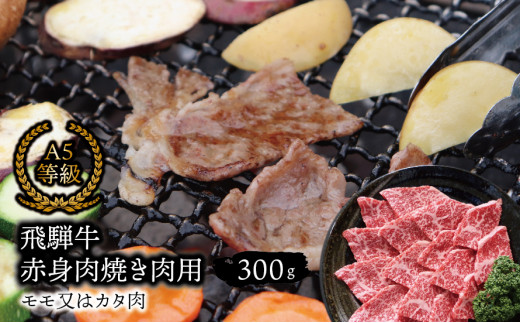 A5等級飛騨牛 赤身肉 焼き肉用 300ｇ モモ又はカタ肉