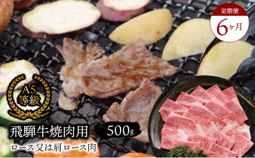 【６ヶ月定期便】A5等級飛騨牛焼肉用500ｇロース又は肩ロース肉 2025/9/19～