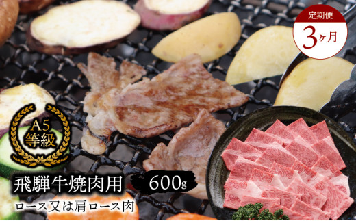 【３ヶ月定期便】A5等級飛騨牛 焼肉用 600ｇ ロース又は肩ロース肉 2025/9/19～