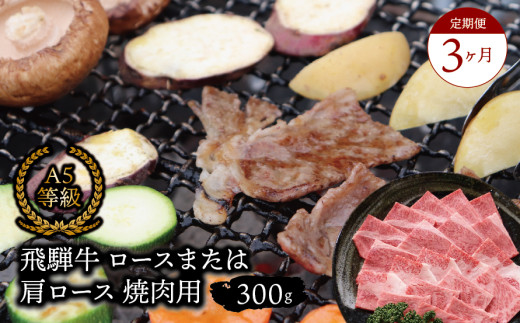 【３ヶ月定期便】A5等級飛騨牛 ロースまたは肩ロース 焼肉用 300g 2025/9/19～
