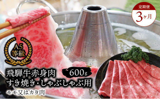 【３ヶ月定期便】A5等級飛騨牛 赤身肉 すき焼き・しゃぶしゃぶ用 600ｇ モモ又はカタ肉 2025/9/19～