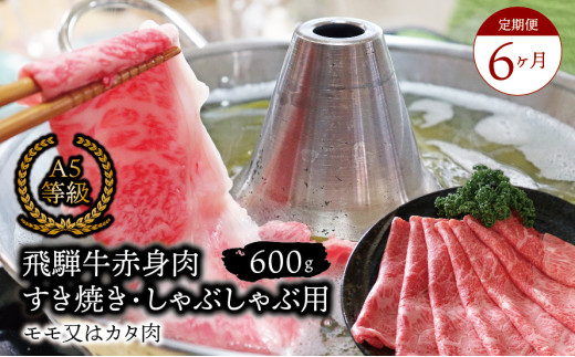 【６ヶ月定期便】A5等級飛騨牛 赤身肉 すき焼き・しゃぶしゃぶ用 600ｇ モモ又はカタ肉 2025/9/19～