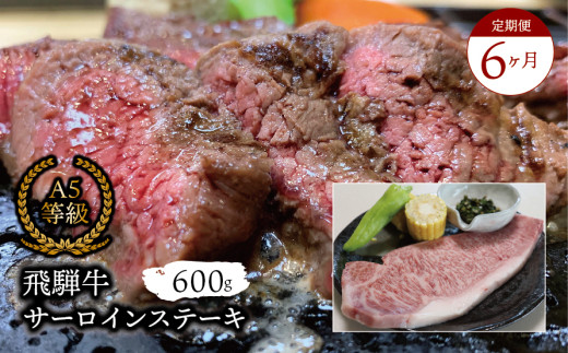【６ヶ月定期便】Ａ5等級飛騨牛 サーロインステーキ600g 2025/9/19～