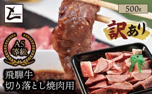 【訳あり】A5 飛騨牛 切り落とし 焼肉用 500g｜岐阜県産 国産 黒毛和牛 ブランド牛 霜降り 不揃い 冷凍 贅沢 高級肉 おすすめ 人気 トキノ屋食品